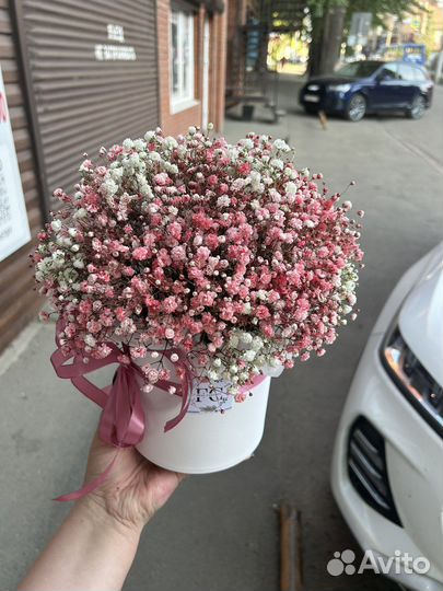 Композиция из крашеной гипсофилы