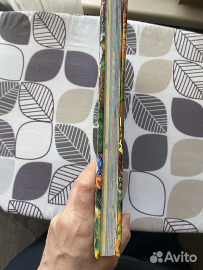 Энциклопедия дошкольника