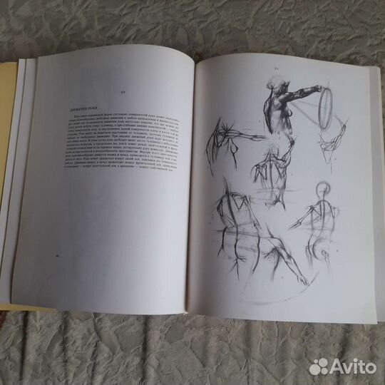 Книга Анатомия для художников