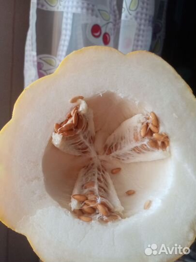 Семена дыни и арбуза