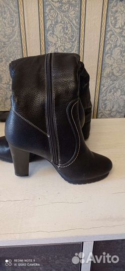 Сапоги осень весна женские
