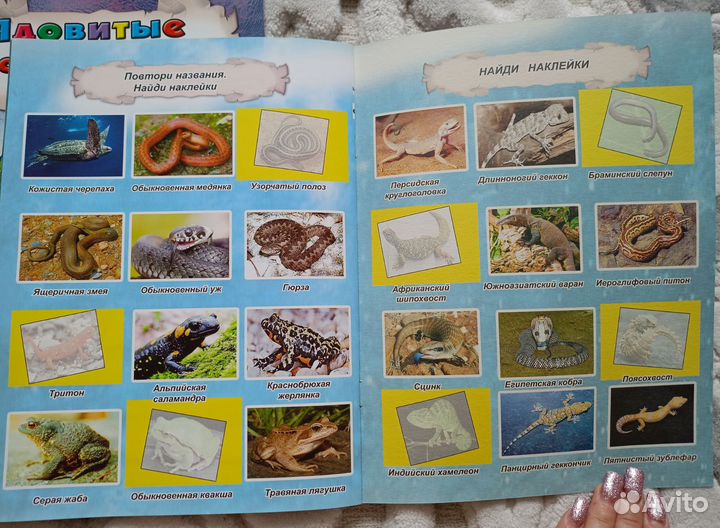 Детские энциклопедии одним лотом