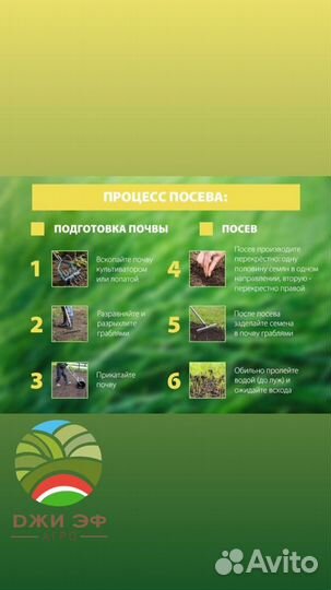 Семена газонной травы