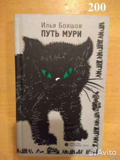 Бояшов Илья. Путь Мури