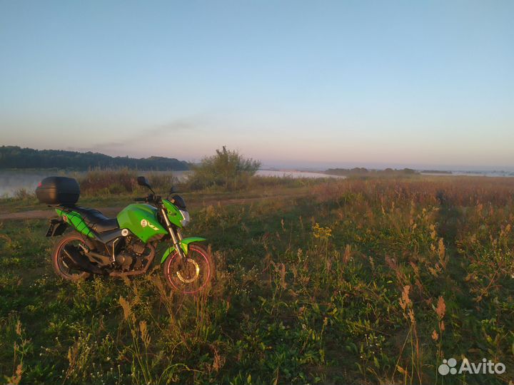 Irbis vj 250