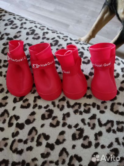 Сапожки для собак