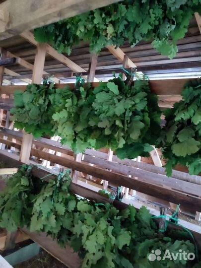 Веники банные