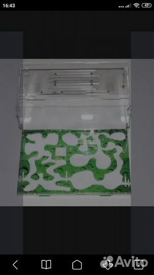 Формикарий муравейник