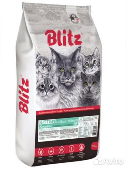 Корм для котят