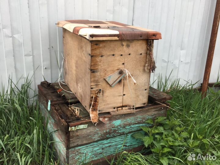 Ловушка для пчёл новые и б/у