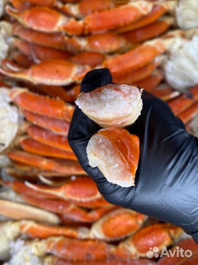 Конечности краба Стригуна (Опилио)