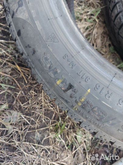 Pirelli Formula Ice 195/55