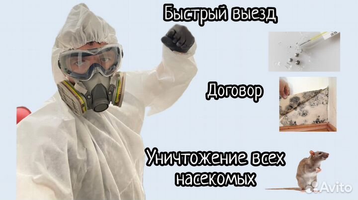 Уничтожение клопов,тараканов и клещей