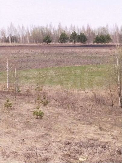 Участок 6 га (СНТ, ДНП)