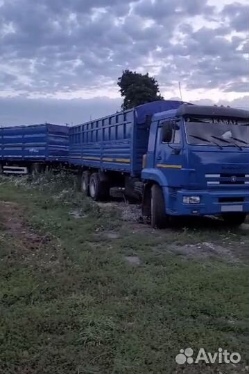 КамАЗ 65117-N3, 2012