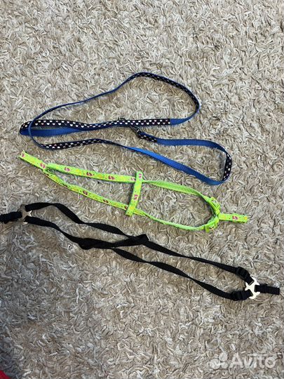 Шлейки и поводок