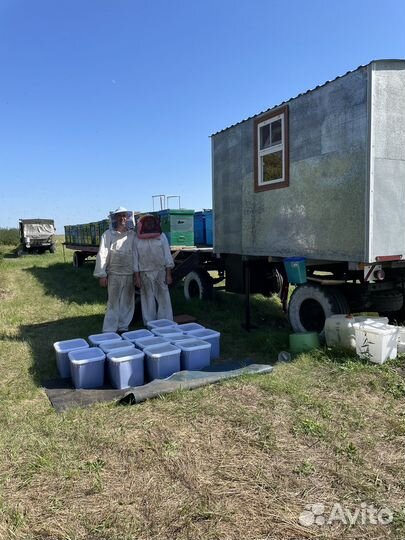 Мёд свежий Гречишный/шалфей/чабрец