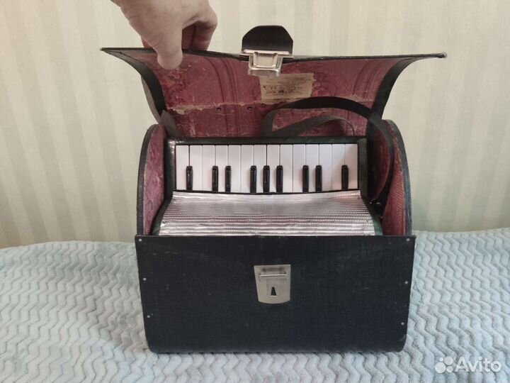 Аккордеон детский