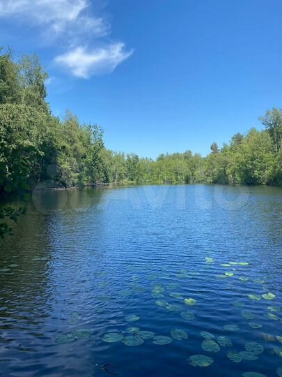 Участок 6,4 сот. (СНТ, ДНП)