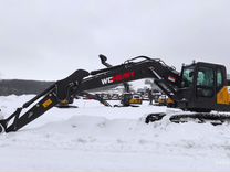 Бражник павлиний глаз гусеница. Гусеницы 1 10. Гусеница муравей композит (composite). Гусеница крапивница мохнатая. Гусеница асфальтоходная 2411-3209000.