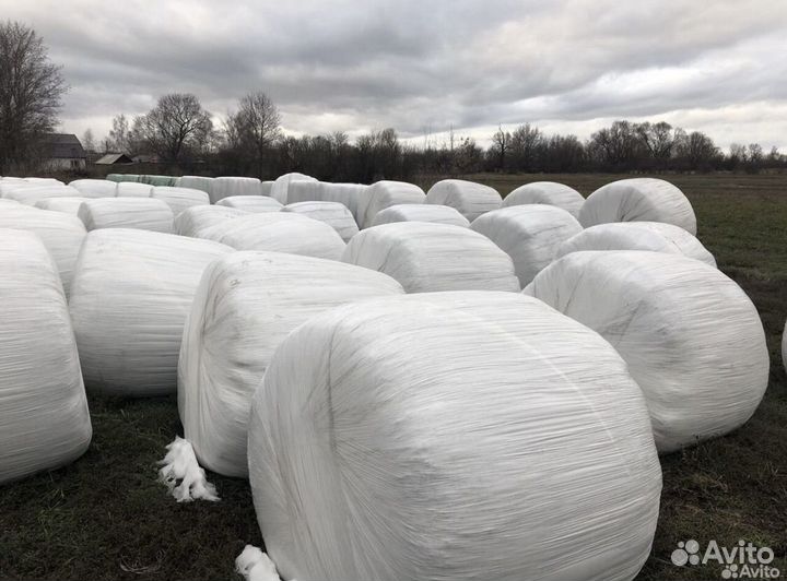 Тюки, сенаж