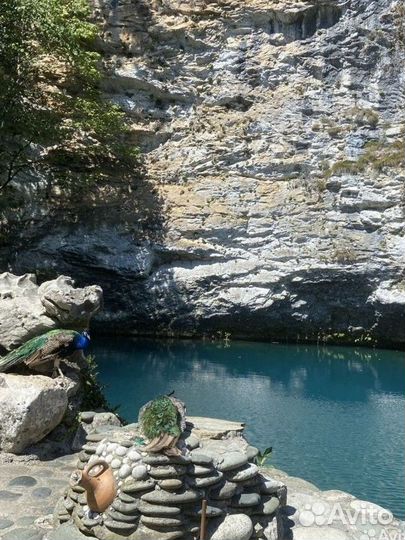 Экскурсии в Абхазию на полный день