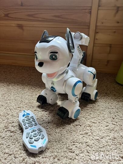 Игрушки интерактивные, обучающие fisher price