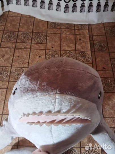 Акула блохэй