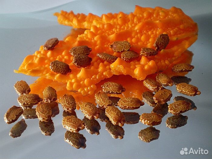 Семена момордики