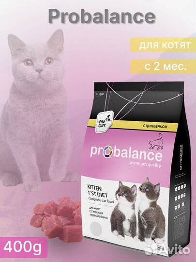 Создание сайтов и инфографика