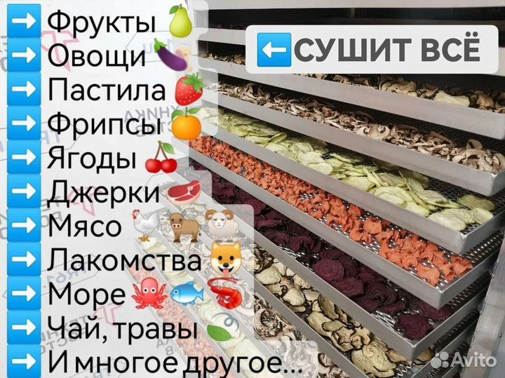 Дегидратор промышленный сушилка