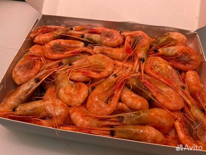 Креветка северная. Свежемороженая оптом