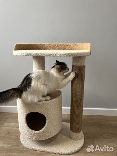 Домик для кошки большой