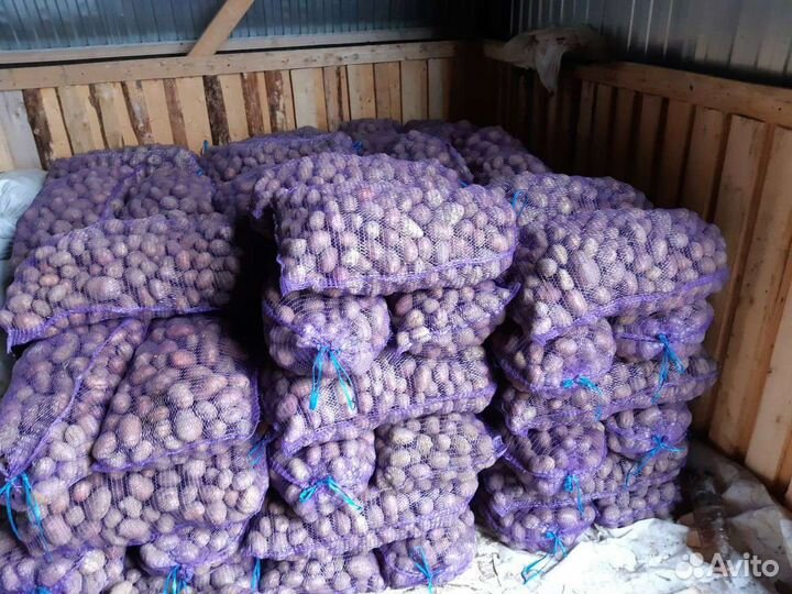 Продам картофель оптом