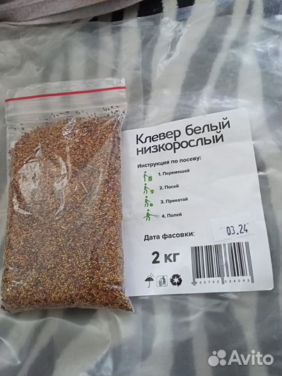 Семена клевера