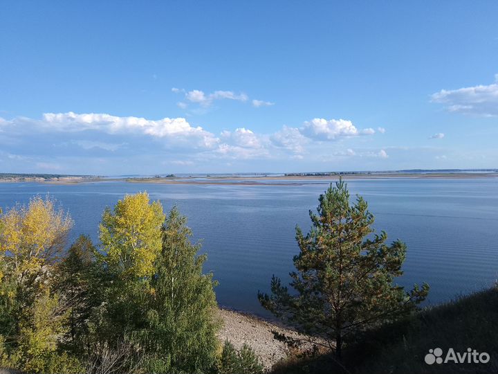 Примем на работу рабочих в цех переработки рыбы