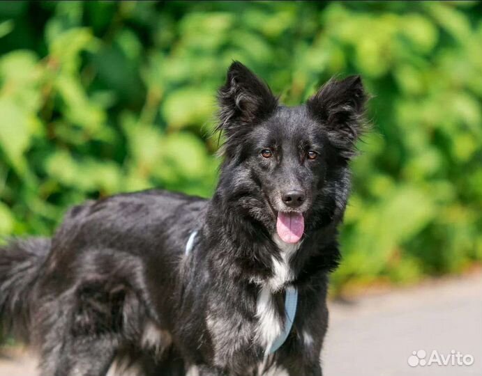 Малыш в беде