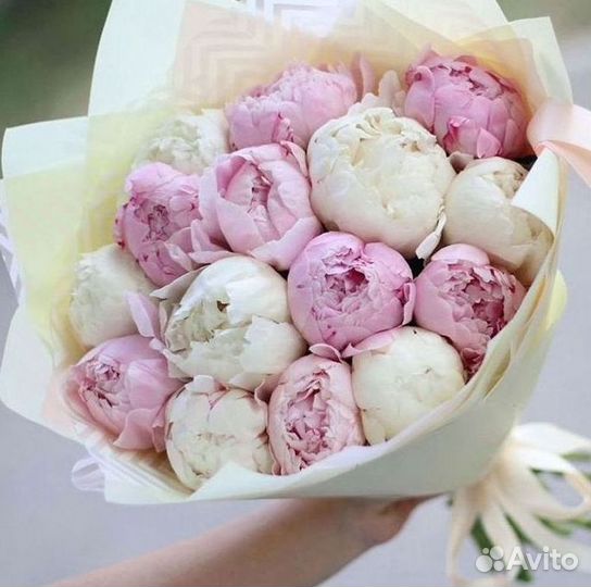 Пионы Букет пионов