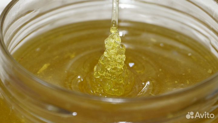 Мёд натуральный, зрелый 3л (1 банка в наличии)