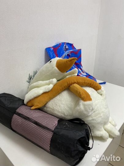 Вещи в пакете