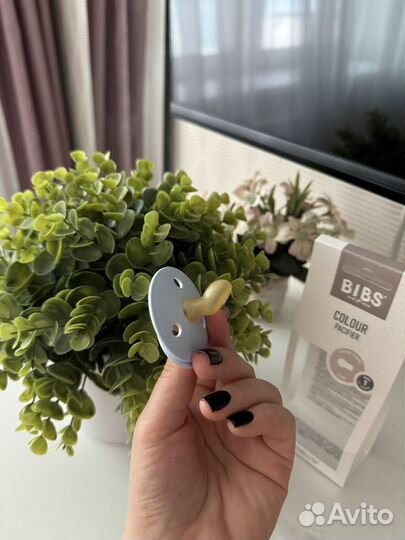 Соска пустышка Bibs 0