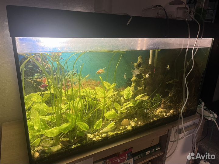 Аквариум 200 литров