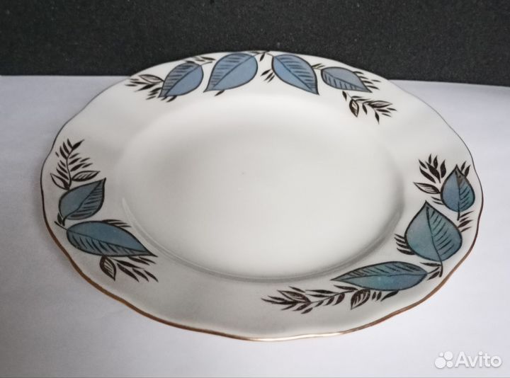 Ифз новая тарелка рисунок Лунный