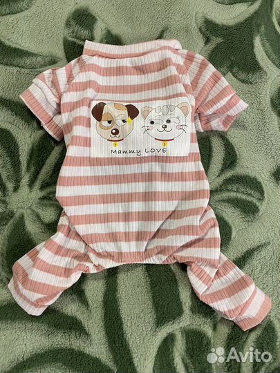 Одежда для животных