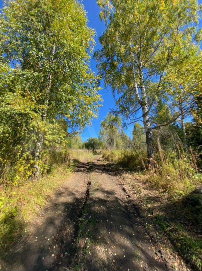 Участок 13,82 га (СНТ, ДНП)