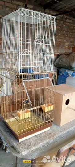 Клетка для попугая карелла с домиком