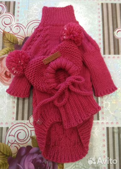 Комплект Свитер и шапочка для собаки