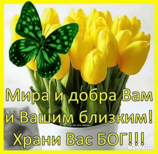 Требуется сиделка