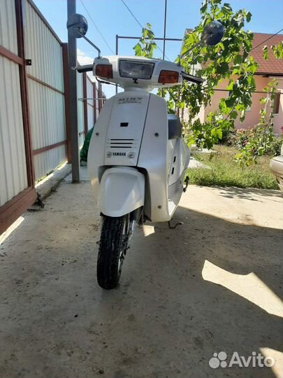 Yamaha mint (ямаха минт)