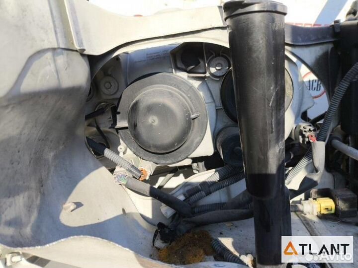 Nose cut toyota crown